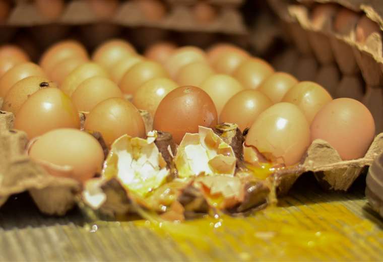 Decomiso de huevos en mal estado durante operativo en Cartago